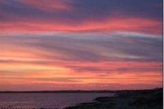 2007_0070