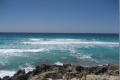 2007_0072