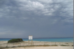 2007_0093
