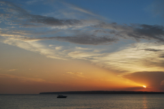 DSC_0040_mod