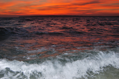 DSC_0370_mod