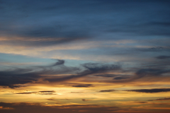 DSC_0600_mod
