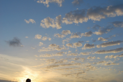DSC_0797_mod