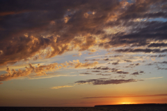 DSC_0866_mod