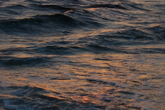 1604_Piratabus_10