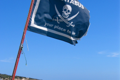 2004_Piratabus_01