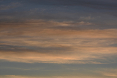 FOR_7201