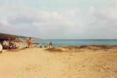 pirata4_001