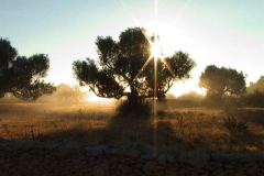 Formentera 0006