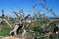 Formentera 0021