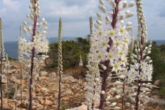 Formentera 0023