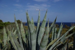 Formentera 0038