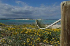 Formentera 0062