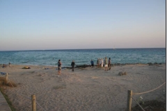 paella_130