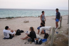 paella_146
