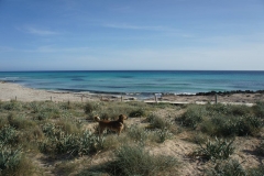 DSC02468