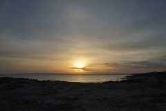 DSC02495