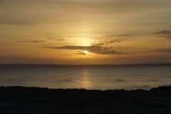 DSC02501