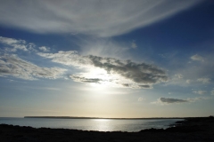 DSC02970_ret