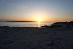 DSC02980_ret