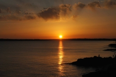 DSC03401