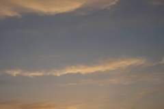 DSC03460