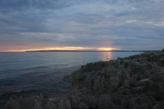 DSC03920