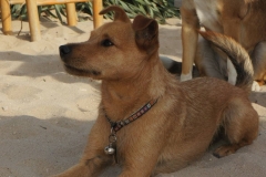 DSC04005