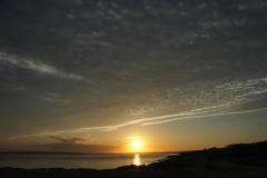 DSC04083