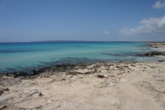 DSC04533