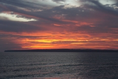 DSC07901