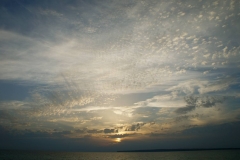 DSC08577_mod