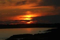 DSC00638