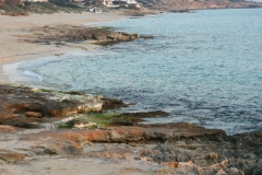 DSC08446