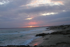 DSCN2886