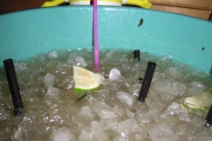IMG_0202_001