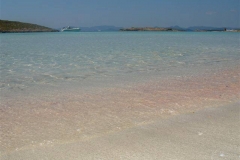 DSC02013
