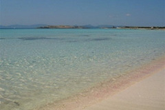 DSC02014