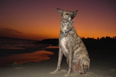 Formentera11