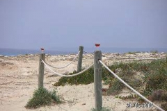 PICT0426_001