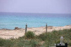 PICT0427